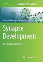 Methods in Molecular Biology- Synapse Development