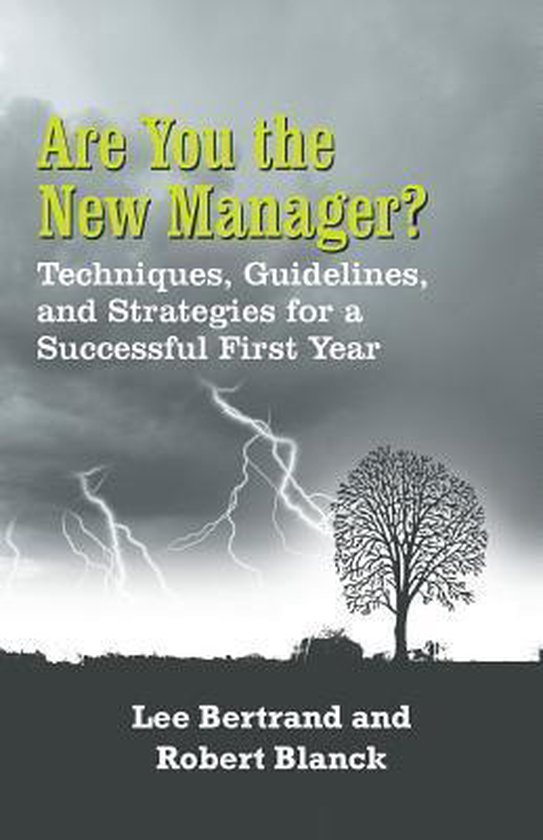 Are You the New Manager? - cover