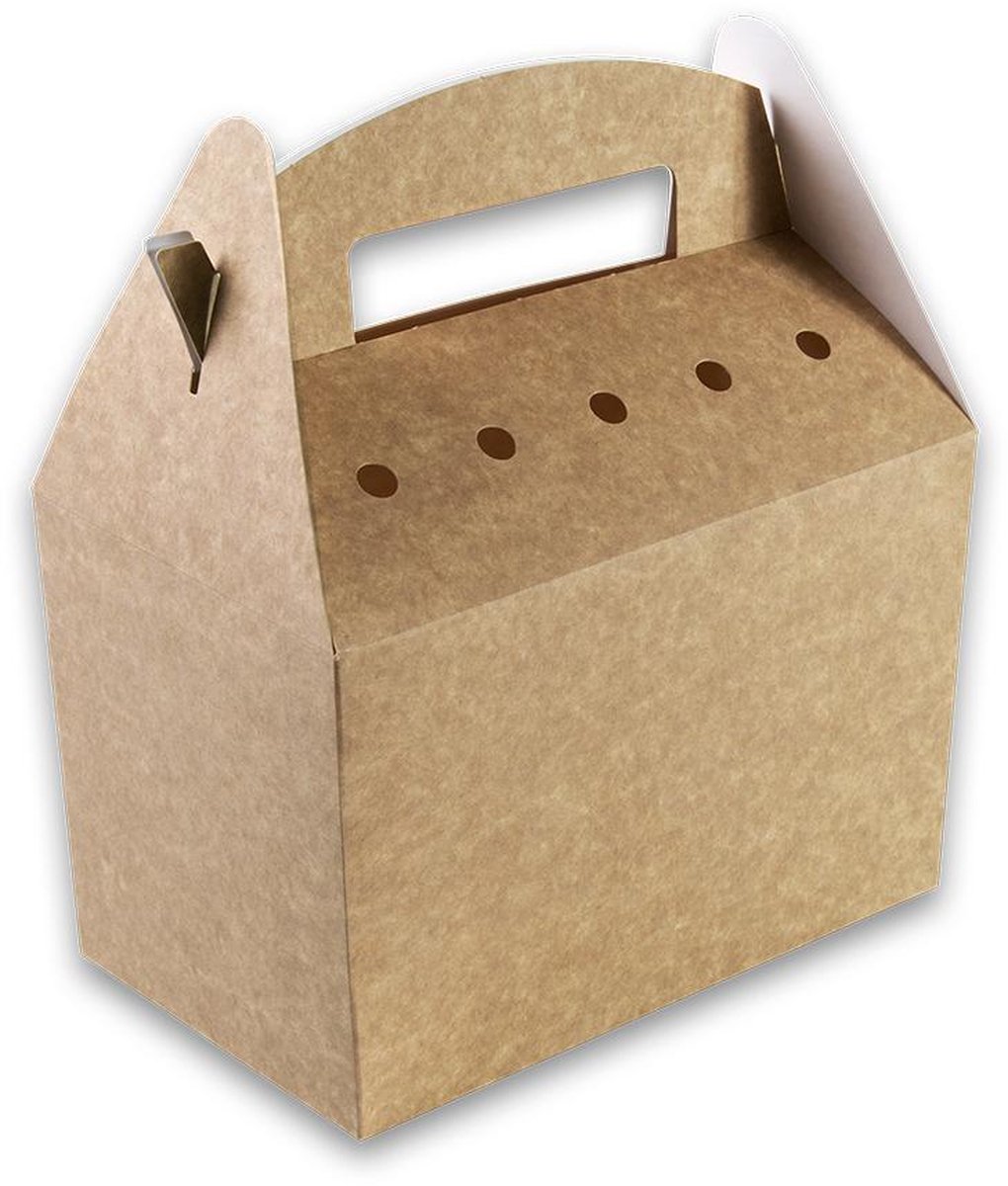 Fonkels Snackbox - Incl. Handvat - Karton
