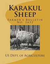 Karakul Sheep