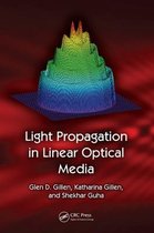 Light Propagation in Linear Optical Media