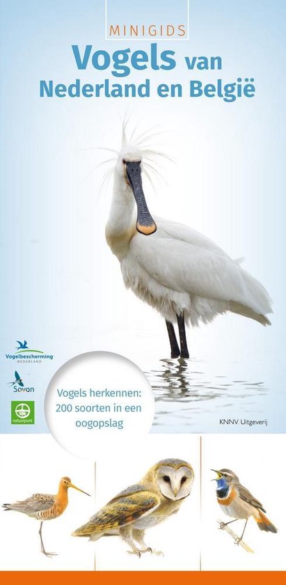 Minigids  -   Minigids vogels van Nederland en België
