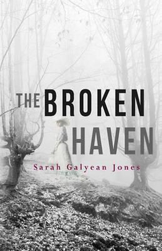 The Broken Haven - cover