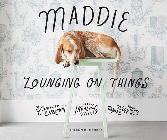 Maddie Lounging On Things - cover