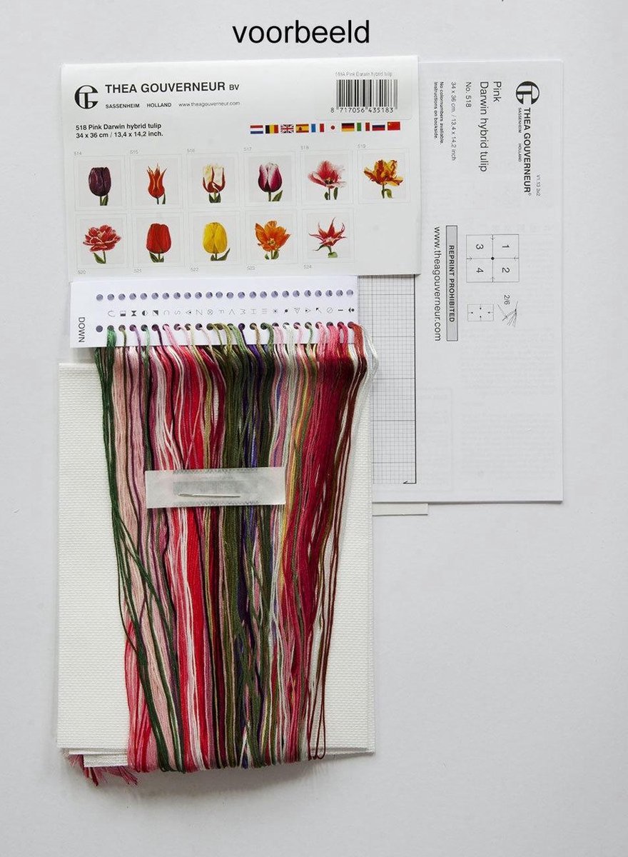 Thea Gouverneur - Uittelpakket voor kruissteek - Amsterdam - Aida Black - 18 stuks - Borduurset voor volwassenen - DMC-borduurgaren en andere kruissteekbenodigdheden inbegrepen - 450.05