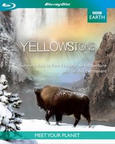 Bbc Earth; Yellowstone