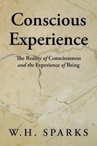 Conscious Experience