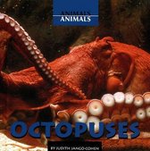 Animals, Animals- Octopuses