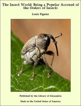 The Insect World: Being a Popular Account of the Orders of Insects