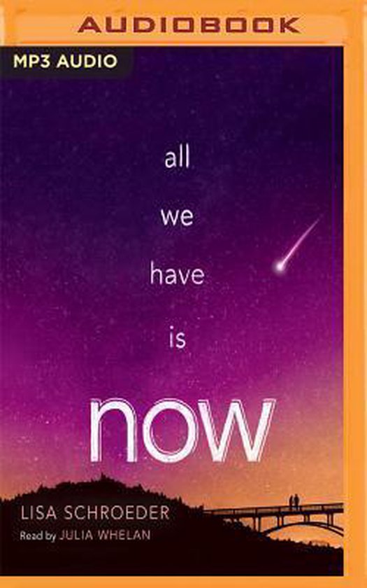 All We Have Is Now übersetzung Deutsch All We Have Is Now, Lisa Schroeder | 9781522651703 | Boeken | bol.com