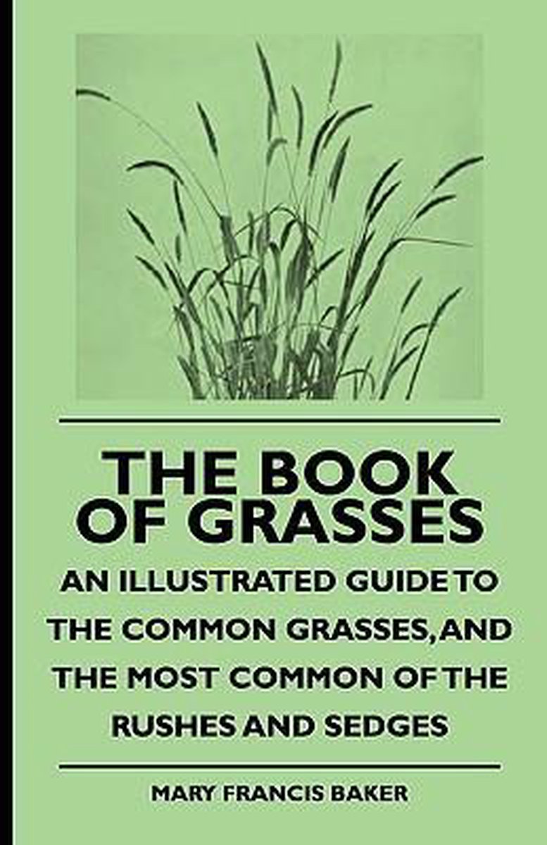 The Book Of Grasses An Illustrated Guide To The Common