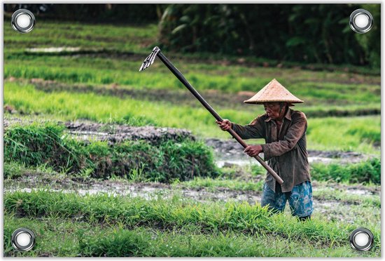 Tuinposter Man Werkend in Rijstveld 120x80cm- Foto op Tuinposter (wanddecoratie voor buiten en binnen)