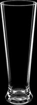 Bierglas - Kunststof bierglas - Bierglas op voet - Plastic glazen - 30cl - 12 stuks