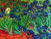 DIAMOND DOTZ DD13.007, Originele 5D Diamond Painting Set Irises (Van Gogh), Knutselpakket met 48.711 Ronde Steentjes, Dotz voor Volwassenen, Hobbypakket ca. 71x56 cm voor Kinderen