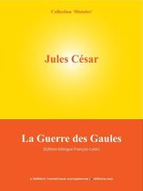 livre numérique