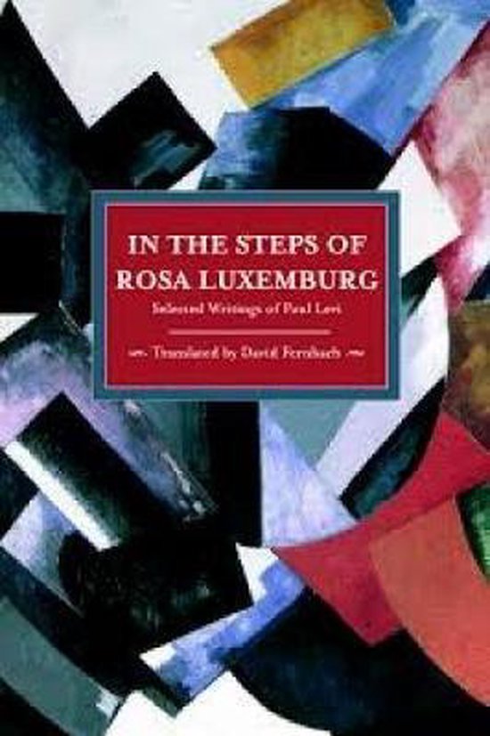 Livre 'In the Steps of Rosa Luxemburg', avec des formes abstraites et multicolores sur la couverture.