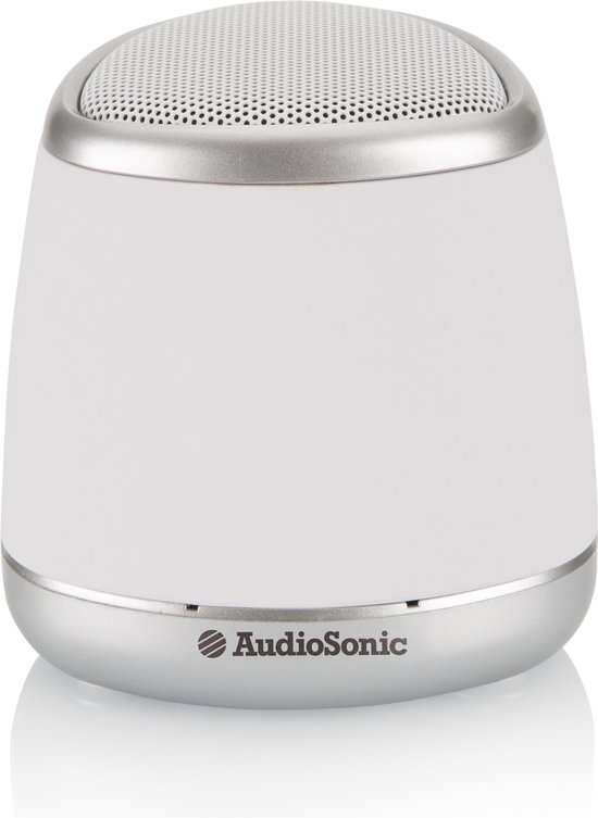 AudioSonic SK-1505 Speaker - AudioSonic