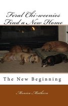 Feral Chi-weenies Find a New Home: The New Beginning