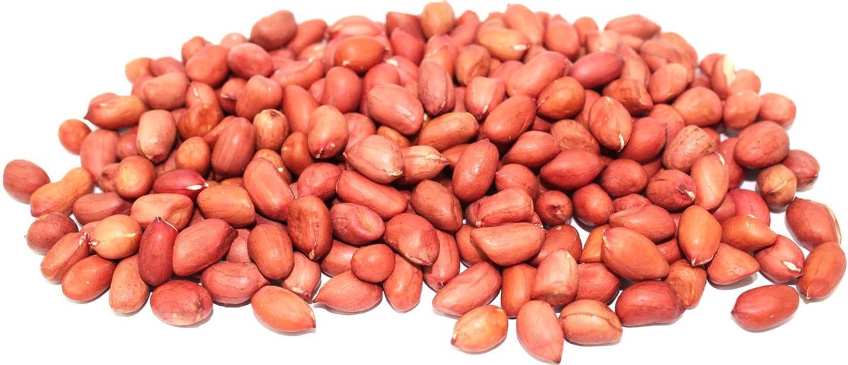 Top Diervoeding Gepelde Pinda's Voor Vogels en Eekhoorns - Buitenvogelvoer - 10 kg