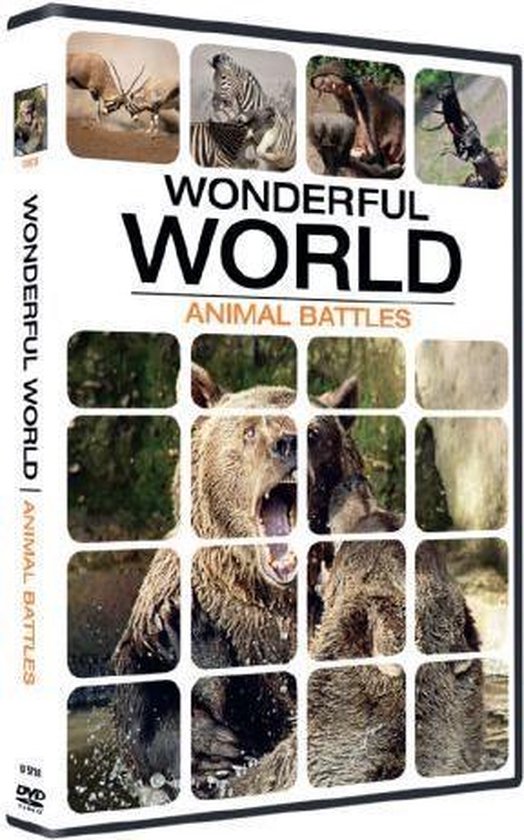 Cover van de film 'Wonderful World - Animal Battles'