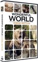 Wonderful World - Animal Battles