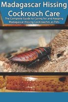 Madagascar Hissing Cockroach Care