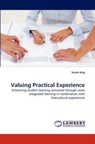 Valuing Practical Experience