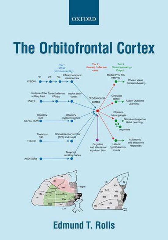The Orbitofrontal Cortex - cover
