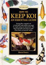 How to Keep Koi