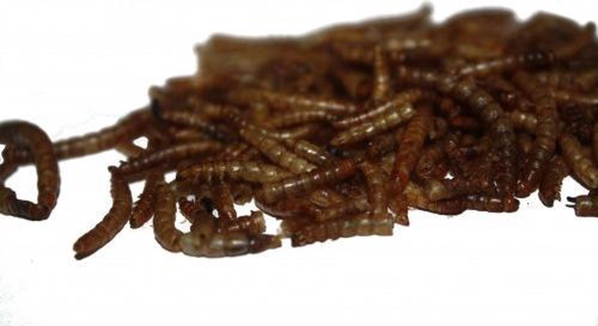 Gedroogde Meelwormen 75 gram