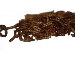 Gedroogde Meelwormen 75 gram