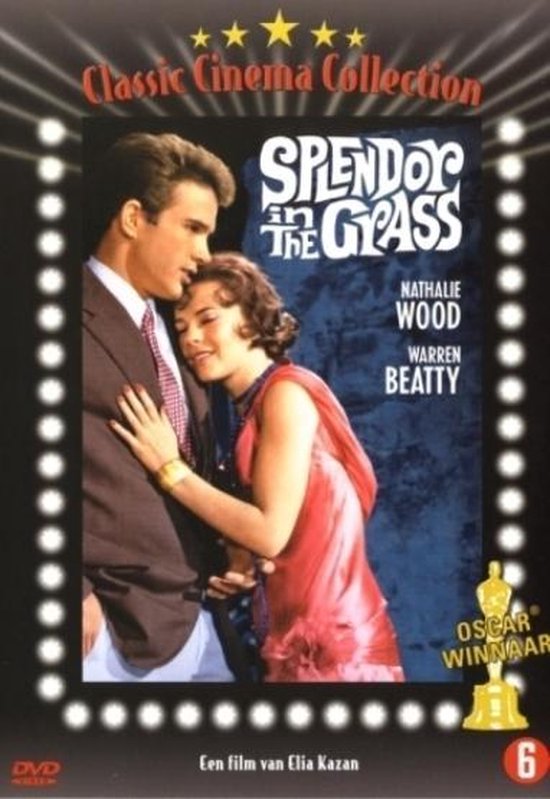 Cover van de film 'Splendor In The Grass'