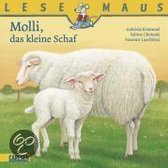 Molli, das kleine Schaf