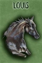 Watercolor Mustang Louis