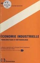 Économie industrielle : problématique et méthodologie
