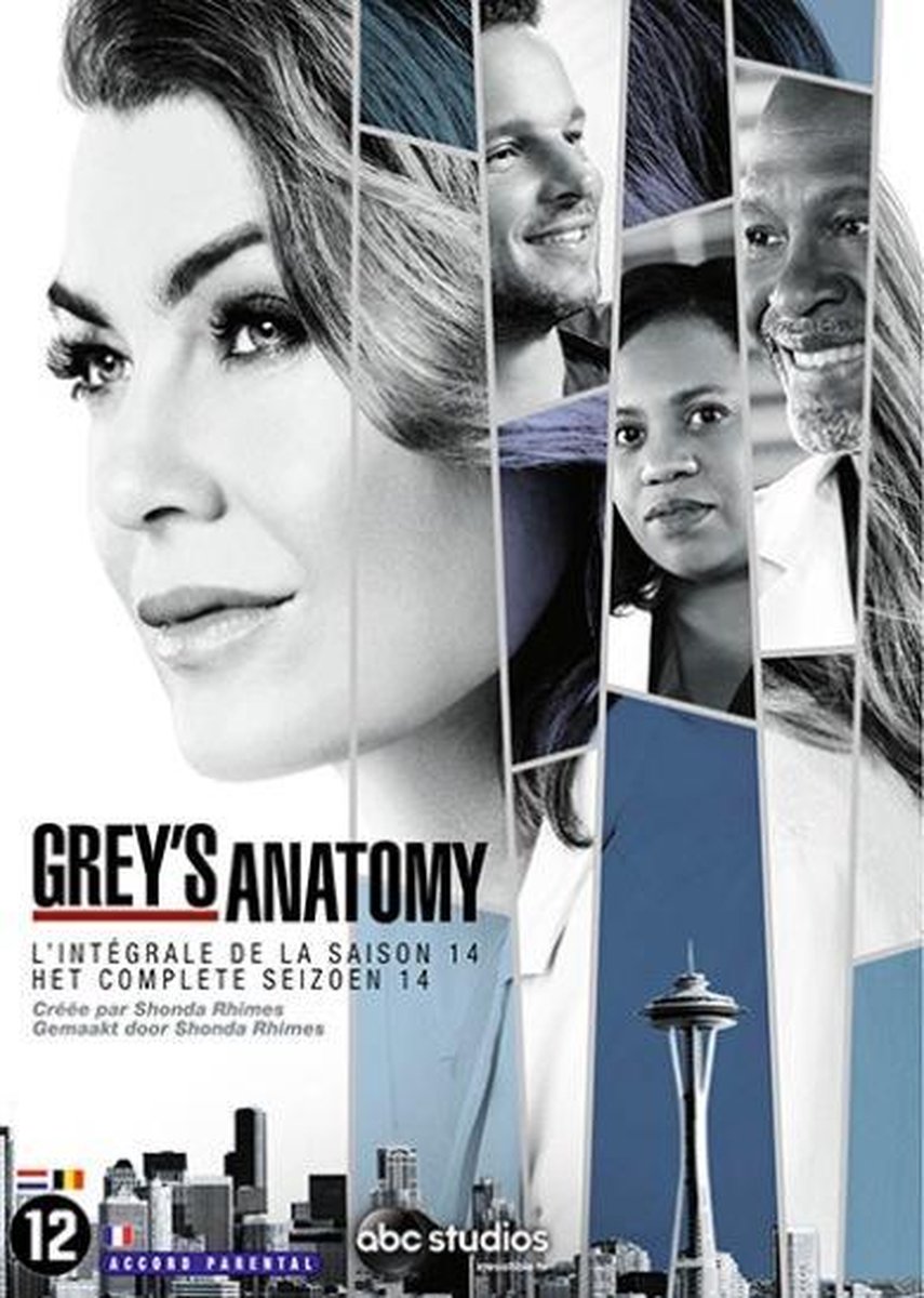 Grey's Anatomy - Seizoen 14 - Tv Series