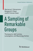 Compact Textbooks in Mathematics - A Sampling of Remarkable Groups