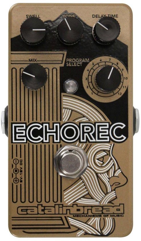 Fame Fiber Echo Delay Pedal (Gebraucht) in Russikon für CHF 20 – mit