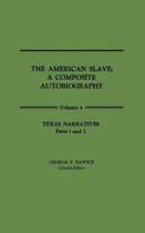 The American Slave