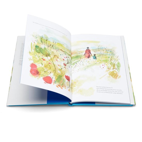 Open kinderboek met waterverfillustraties van een landschap met rode klaprozen en een figuur die een kind vasthoudt.