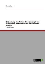 Entwicklung einer Unternehmensstrategie zur Erschliessung der Potenziale des brasilianischen Marktes