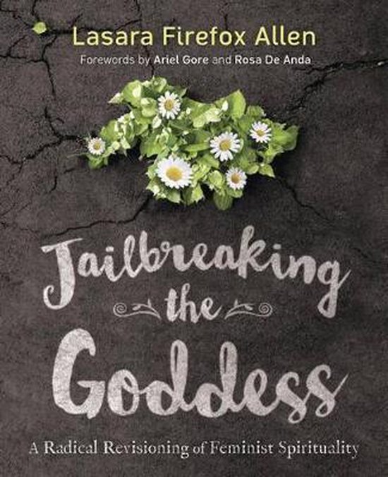 Jailbreaking the Goddess, Lasara Firefox Allen 9780738747972 Boeken