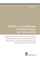 Wirkung von Levofloxacin und Moxifloxacin  auf Sehnenzellen