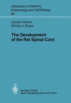 The Development of the Rat Spinal Cord