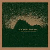 G.Rag Y Los Hermanos Patchekos - How Sweet The Sound (LP)