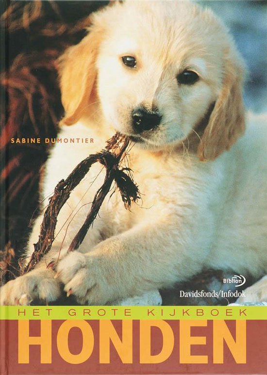 Het grote kijkboek - honden - S. Dumontier | Northernlights300.org