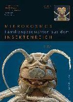 Wandlungskünstler. Die geheime Erfolgsgeschichte der Insekten.