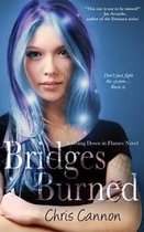 Bridges Burned