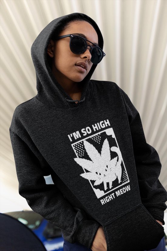 I'm so high right meow | cat kat shirt | Hoodie | Cannabis | Stoner | Weed | Leuk grappig |