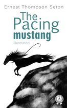 The Pacing mustang
